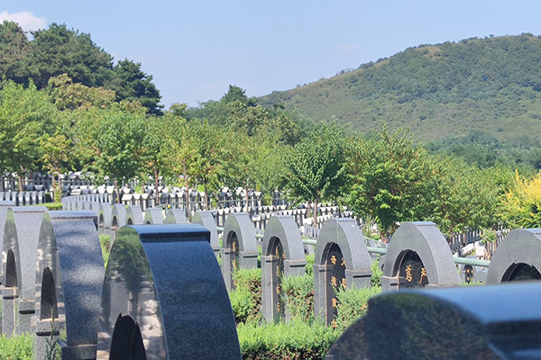 沈阳市十大墓园排名最新的观陵山墓园