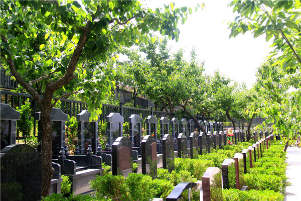 沈阳墓地网温馨提示选择墓地需要考虑的三个原则