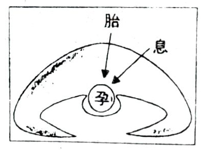 沈阳墓园看胎息孕育，生生不息