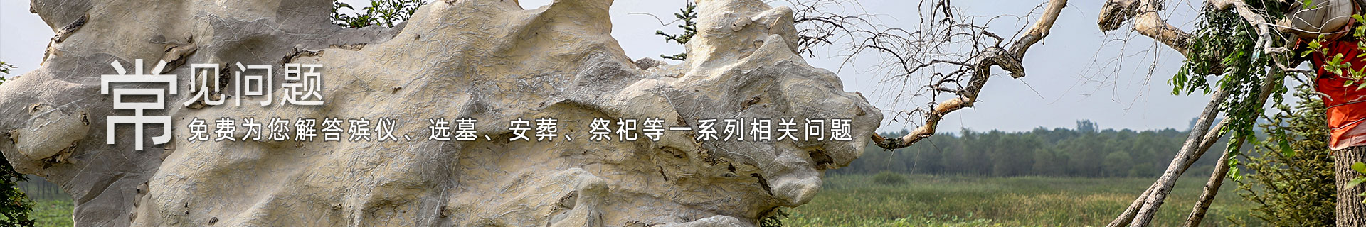 沈阳墓地安葬问题