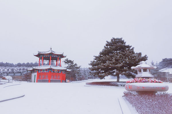 沈阳陵园冬天陶然寝园美景