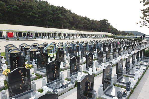 2026沈阳墓园清明选墓全攻略：惠民政策大放送，生态安葬省钱又暖心