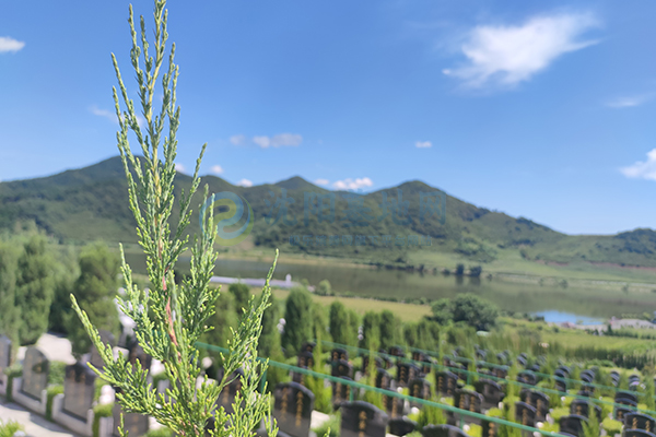 沈阳墓园坐拥上台水库自然馈赠，青云山的清明贴心服务安心！