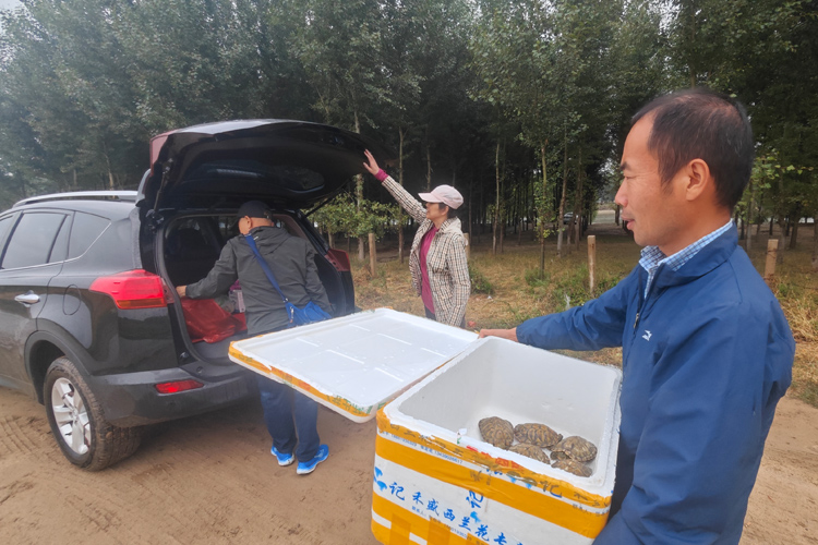 极乐殡葬网践行社会责任:放生护生,助力辽河湿地生物多样性保护 极乐殡葬网践行社会责任.jpg