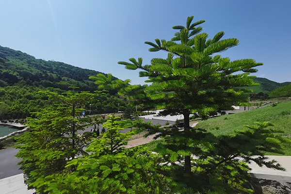 沈阳哪个墓园性价比高的公墓网十大公墓地排行榜