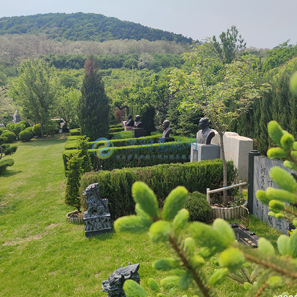 时光盛夏・拾趣端午-沈阳观陵山墓园诚邀您体验端午文化节盛宴