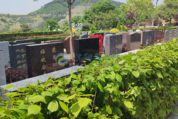 沈阳墓园大全：传统墓地、生态墓地与艺术墓地，满足多样化需求