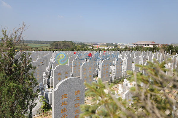 沈阳墓园大全：传统墓地、生态墓地与艺术墓地，满足多样化需求