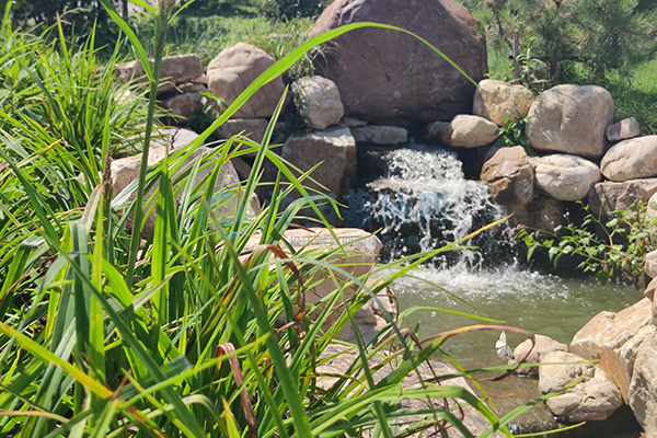 沈阳墓园坐拥上台水库自然馈赠，青云山的清明贴心服务安心！
