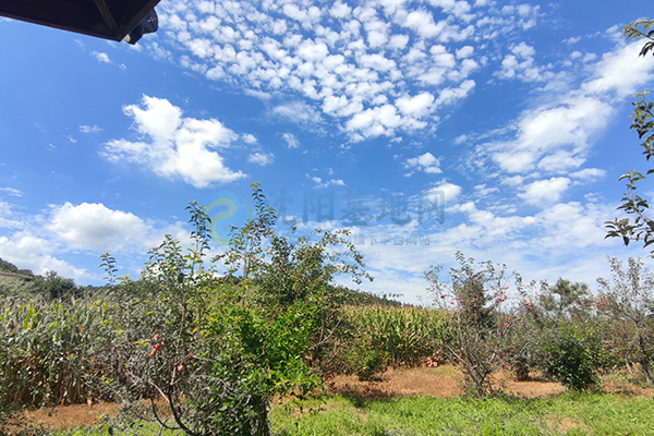 沈阳墓园坐拥上台水库自然馈赠，青云山的清明贴心服务安心！