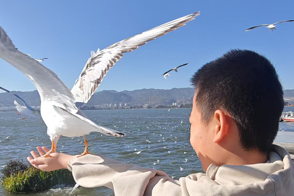 沈阳经营性公墓的建立单位、建墓单位与经营性公墓是不同的法律主体？