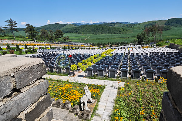 2026沈阳墓园清明选墓全攻略：惠民政策大放送，生态安葬省钱又暖心