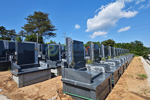 2026沈阳墓园清明选墓全攻略：惠民政策大放送，生态安葬省钱又暖心