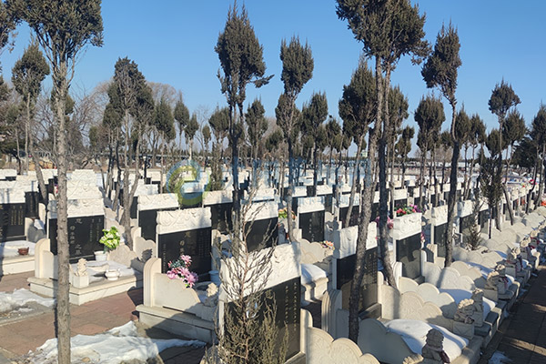 买沈阳墓地要花多少钱?2026年沈阳墓园不同区域、墓型真实公墓价格全解析 买沈阳墓地要花多少钱?2026年沈阳墓园不同区域、墓型真实公墓价格全解析