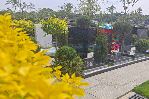 沈阳回龙岗墓园打造“园中园、林中园、花中园”立体景观！