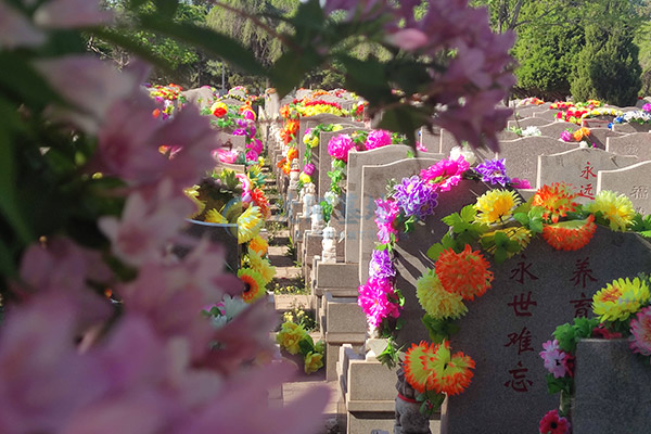 国企担当，慰藉心灵：沈阳回龙岗墓园践行为民服务责任